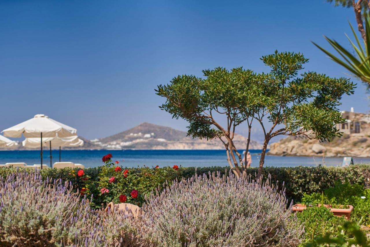 Kalergis Studios Naxos City Exteriör bild